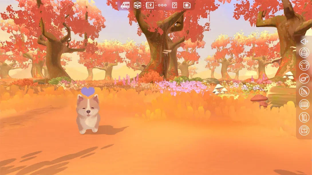 【美版】露营车 家的旅程 .Camper Van Make it Home 中文