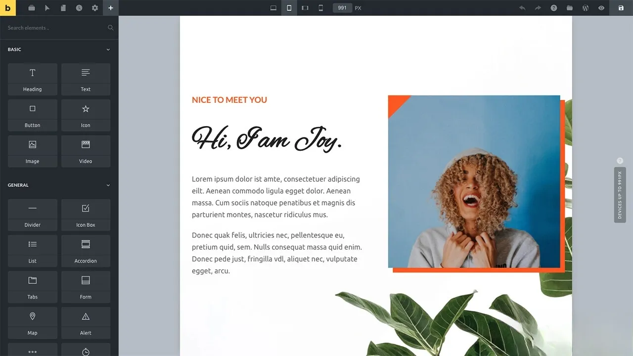 WordPress主题Bricks v1.9 破解版-Tox源码网