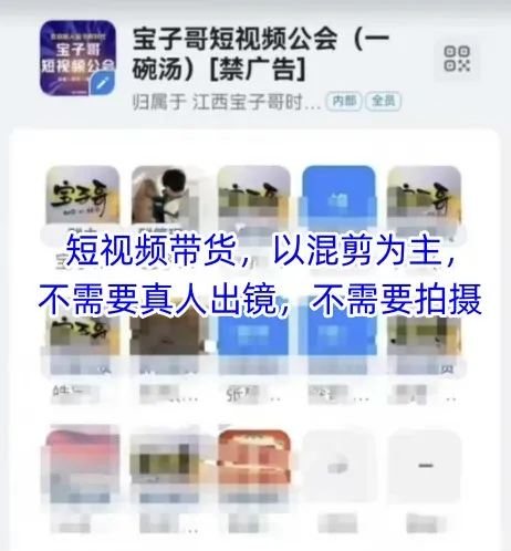 宝子哥头部团队短视频带货，以混剪为主，不需要真人出镜，不需要拍摄【更新26年1月】-Tox源码网