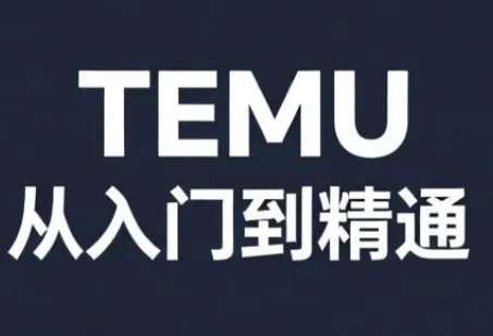 跨境麦冬·TEMU从入门到精通