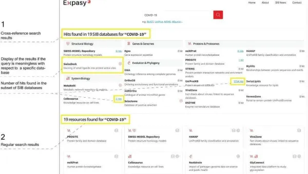 服务器选择攻略：匹配网站 SEO 需求-Tox源码网