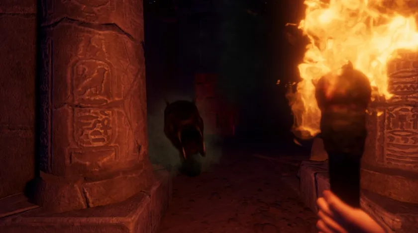 PC游戏《预先警告 FOREWARNED》中文+Build.21397559-Tox源码网