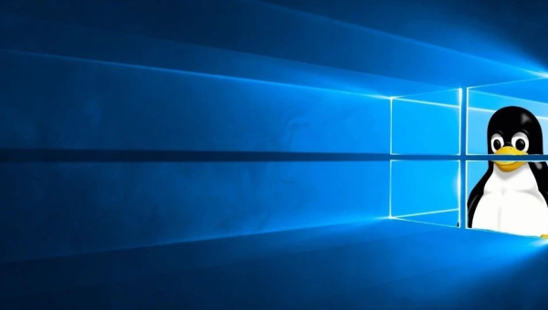 linux和windows软件一样吗-Tox源码网