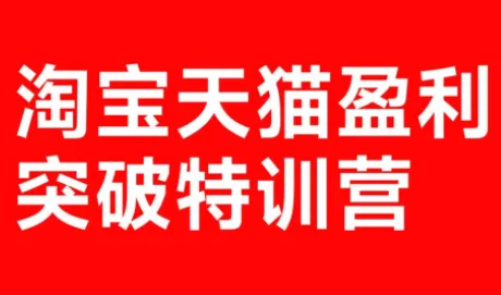 玺承·淘宝天猫盈利突破特训营(25年12月线下课)【音频+字幕】-Tox源码网