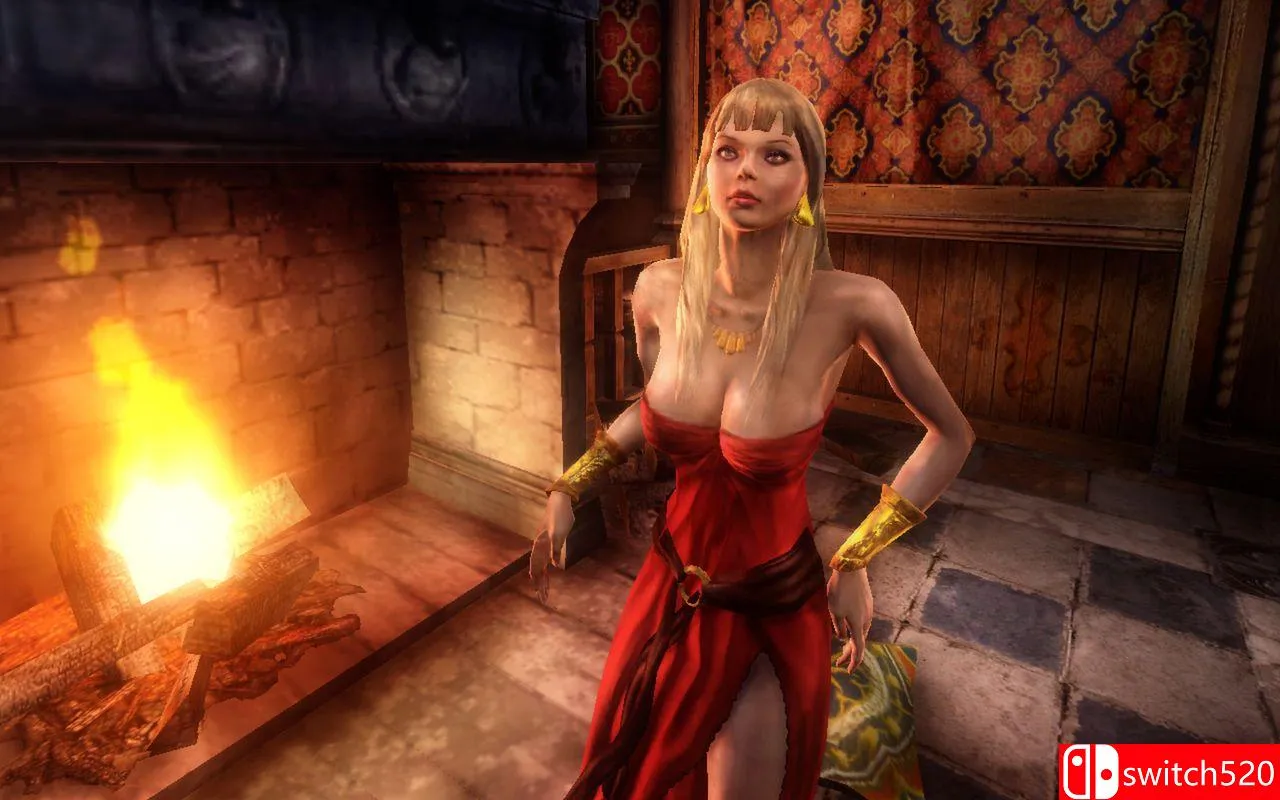 《巫师加强版（The Witcher: Enhanced Edition）》官方中文 v1.5 [繁体/英文]-Tox源码网