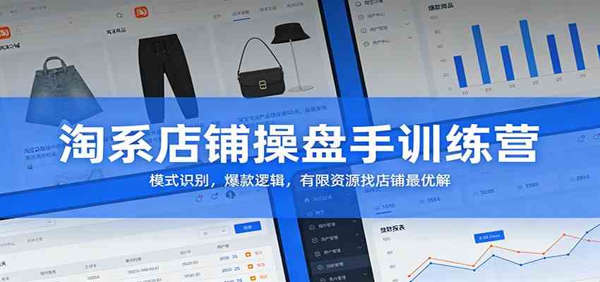 淘系店铺操盘手训练营：模式识别，爆款逻辑，有限资源找店铺最优解-Tox源码网