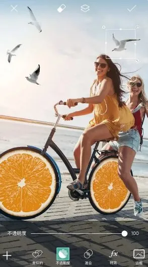 Picsart美易 v29.1.6高级版-Tox源码网