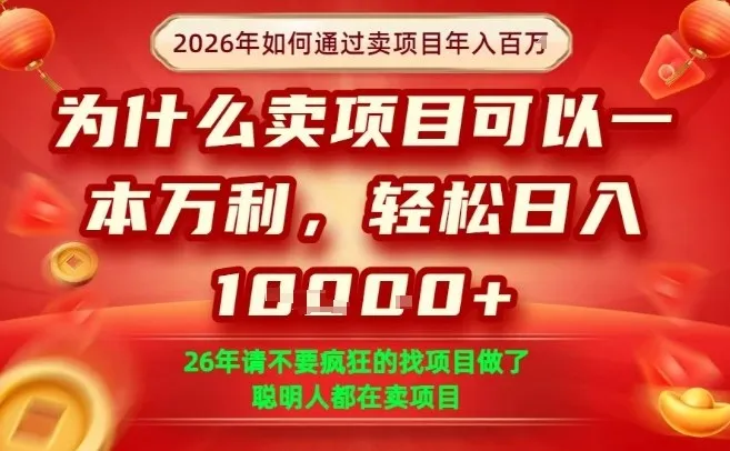 一单净利润1K+，26年想年入100个W，死磕卖项目就够了【揭秘】-Tox源码网