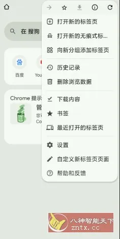 谷歌浏览器 Google Chrome v143.07499.146-Tox源码网