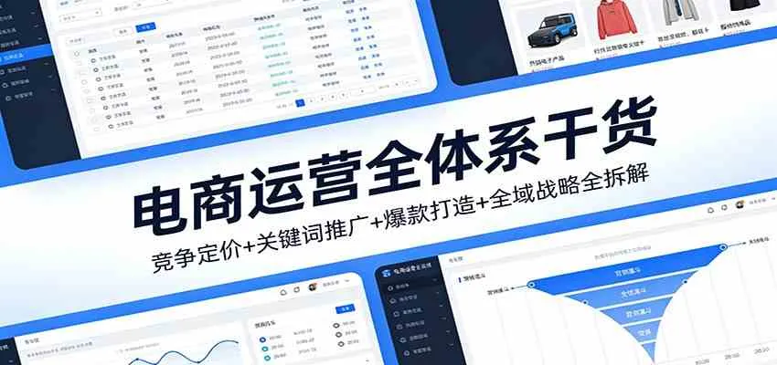 电商运营全体系干货，竞争定价+关键词推广+爆款打造+全域战略全拆解-Tox源码网