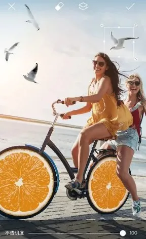 Picsart美易 v29.1.4高级版-Tox源码网