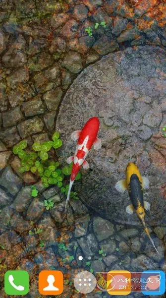 Water Garden Live Wallpaper 锦鲤3D动态壁纸2.05专业版-Tox源码网