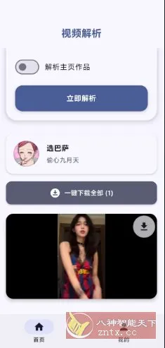 鱼去水印v1.0.0-Tox源码网