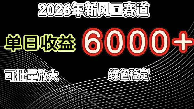 （17135期）2026年新风口赛道，当日6000+以上，可批量放大，月收入20万+，长期绿色稳定的项目-Tox源码网