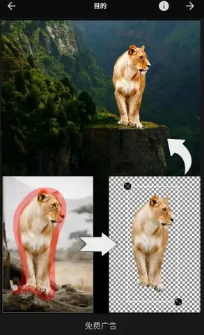 Picsart美易 v29.2.2高级版-Tox源码网