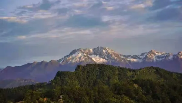 网站优化秘籍之标题优化：开启流量之门-Tox源码网