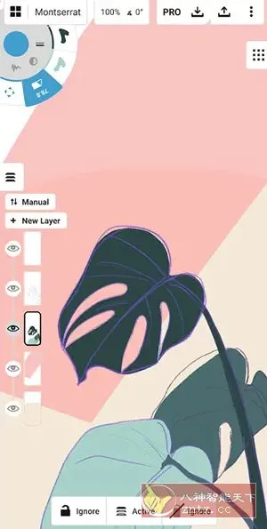 概念画板 v2025.12.3高级版-Tox源码网