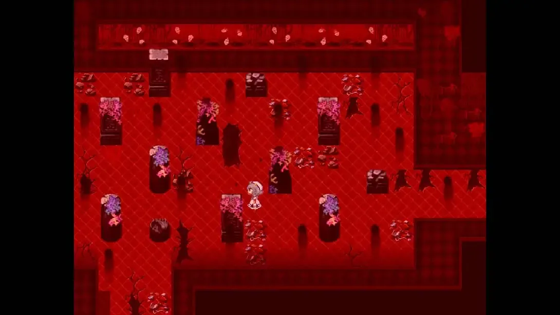 【美版】水族馆不跳舞 .The Aquarium does not dance 中文