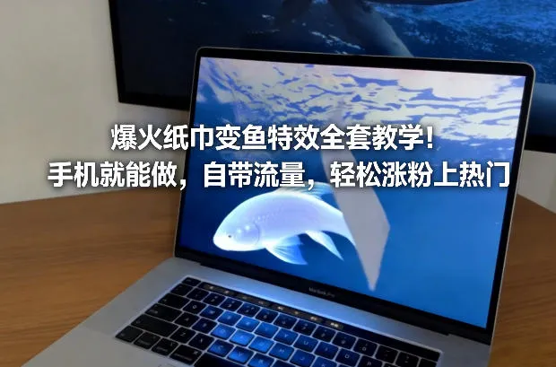 爆火纸巾变鱼特效全套教学！手机就能做，自带流量，轻松涨粉上热门-Tox源码网