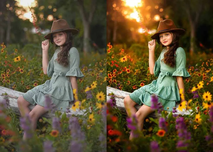 大师级GTG出品-老友记系列AI自适应预设The Friends Preset Collection-Tox源码网