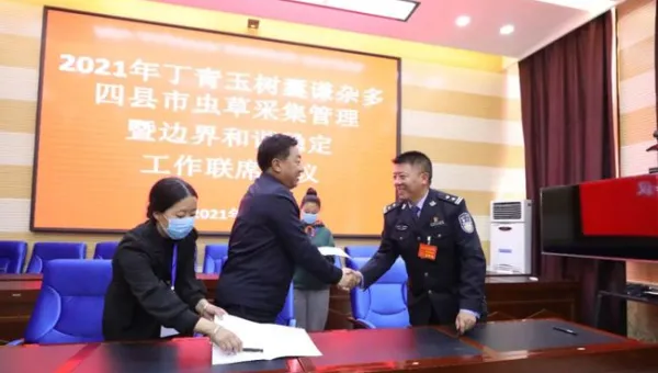 服务器管理优化:为网站 SEO 提供稳定环境-Tox源码网