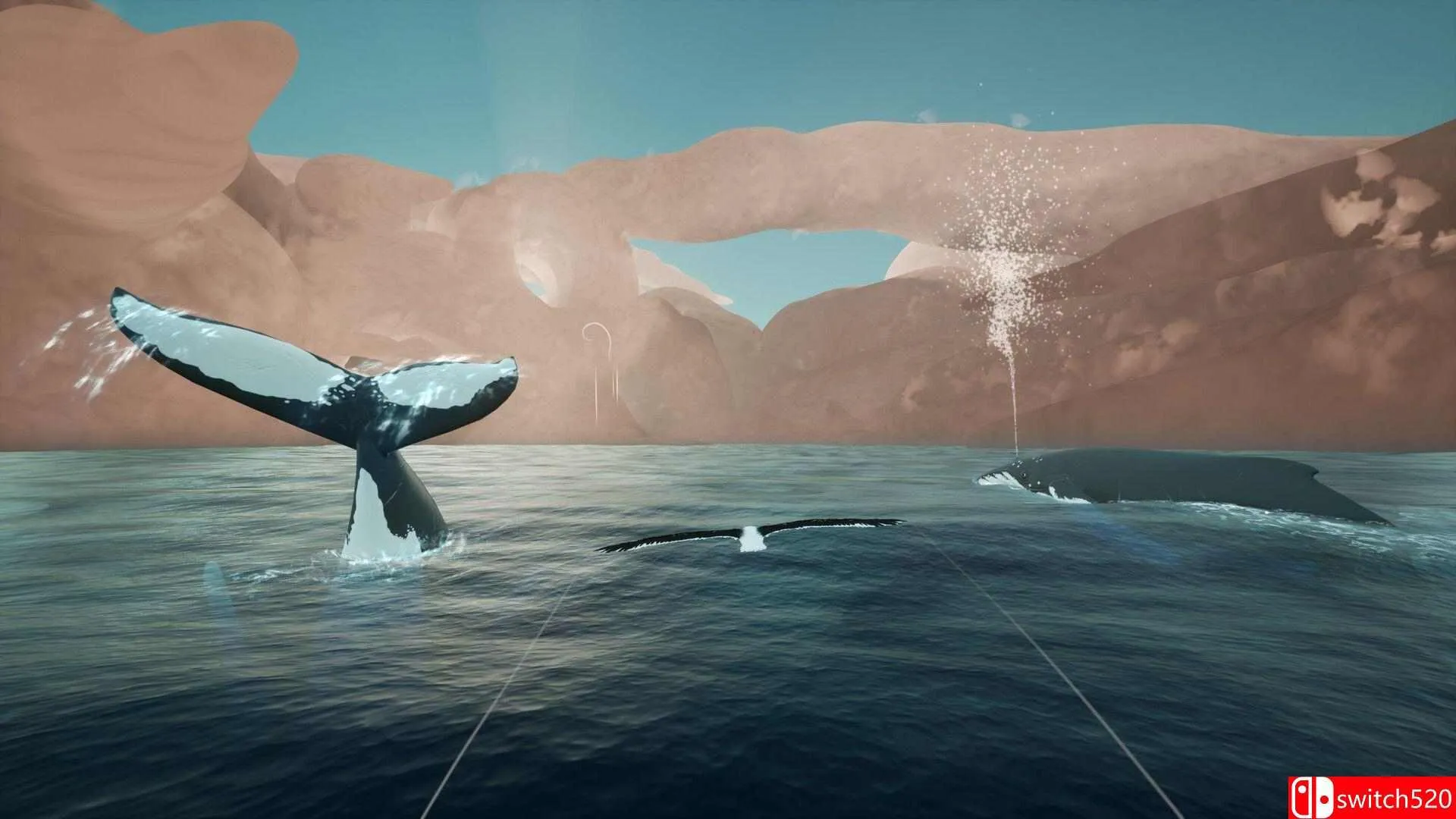 《托罗阿：天际呼唤（Toroa: Skycall）》[英文]-Tox源码网