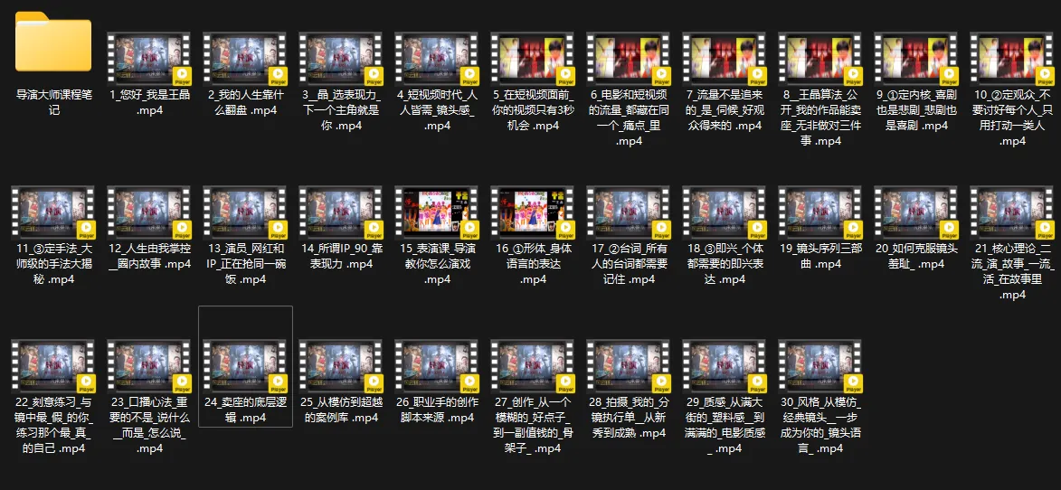 王晶大师课：流量破局-人生由我掌控-Tox源码网