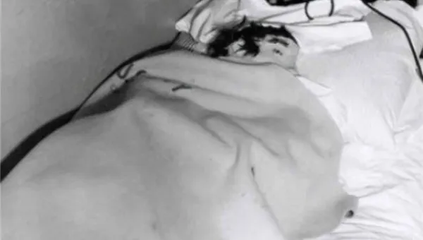 标题优化技巧大揭秘：抓住搜索者眼球-Tox源码网