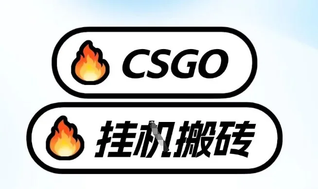 真全网独家CSGO挂G，最新玩法,单日捡漏1K+，不用电脑，不用打游戏【揭秘】-Tox源码网