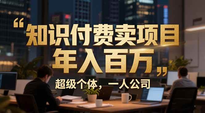 （17134期）从0到年入百万：超级个体实战心得公开，个人IP×精准引流×成交系统全拆解-Tox源码网