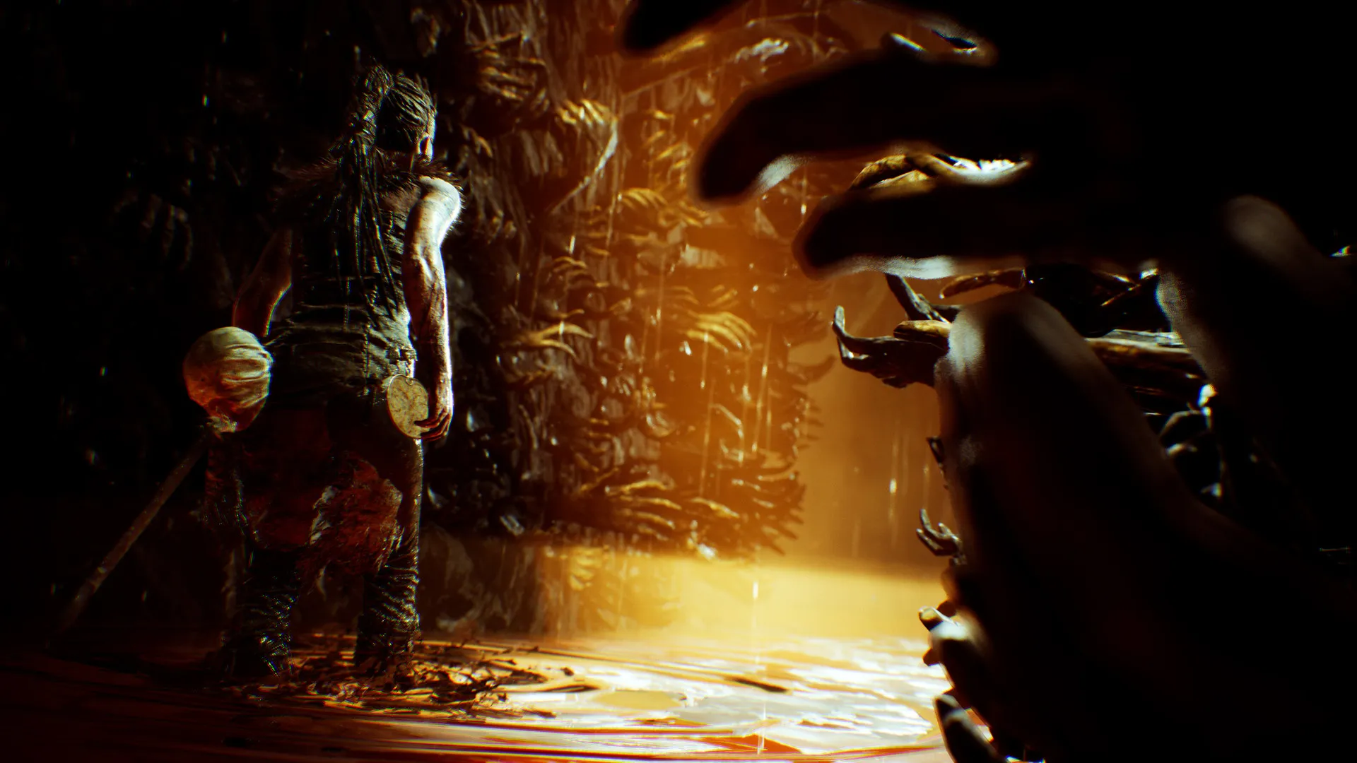 地狱之刃：塞娜的献祭/Hellblade: Senua’s Sacrifice