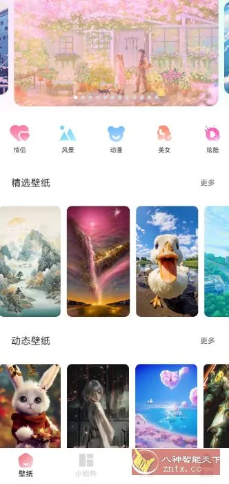 91熊猫桌面主题v1.0.6高级版-Tox源码网